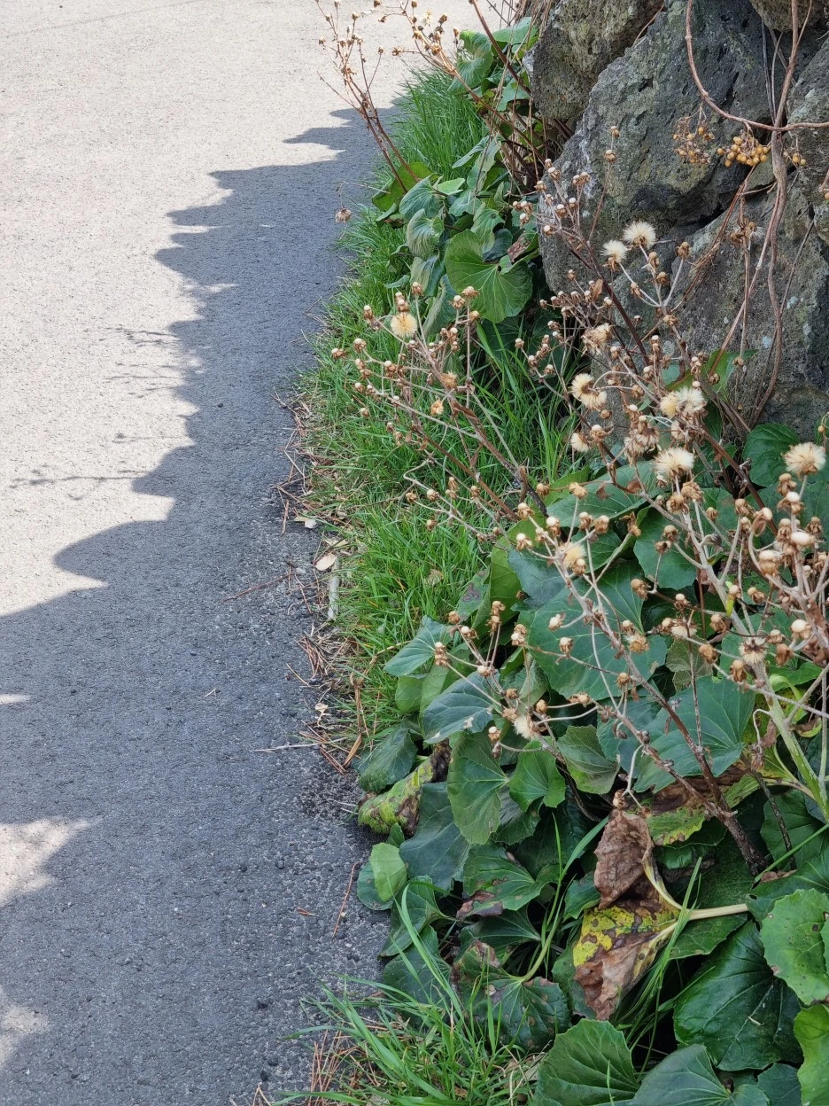 KakaoTalk_20220318_180813768_09.jpg?type=w1