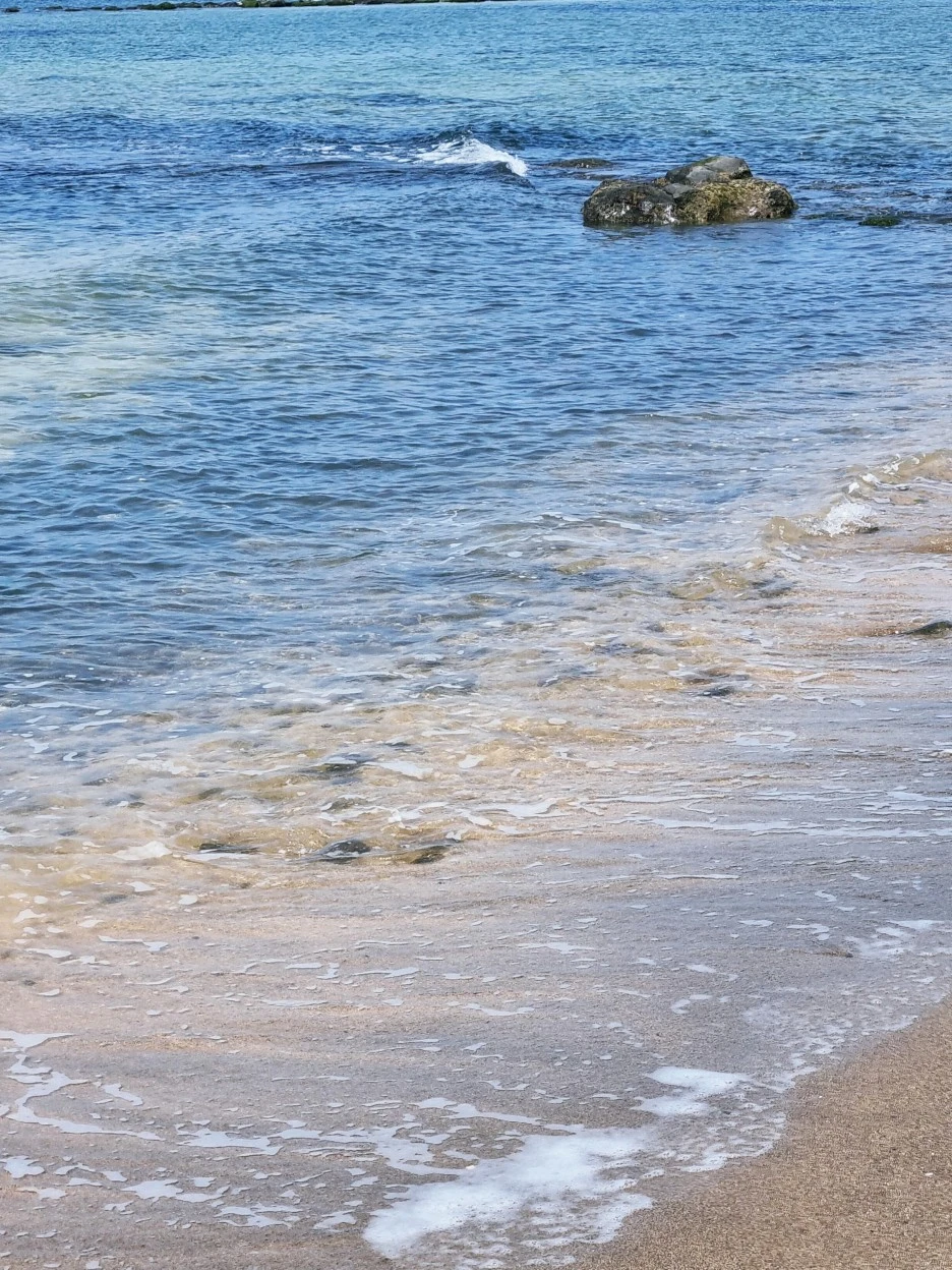 SE-3e3b6c36-bb60-48ed-a37d-51ffeddf5c1f.jpg?type=w1