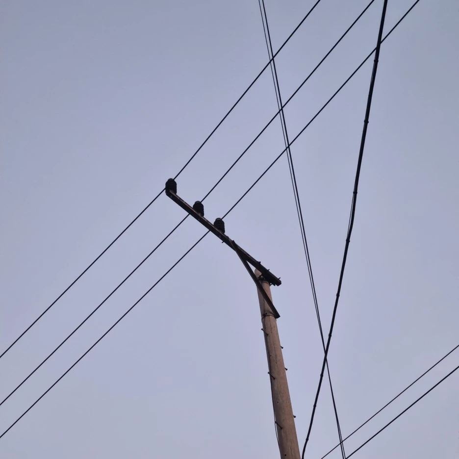 KakaoTalk_20220301_185950690_07.jpg?type=w1