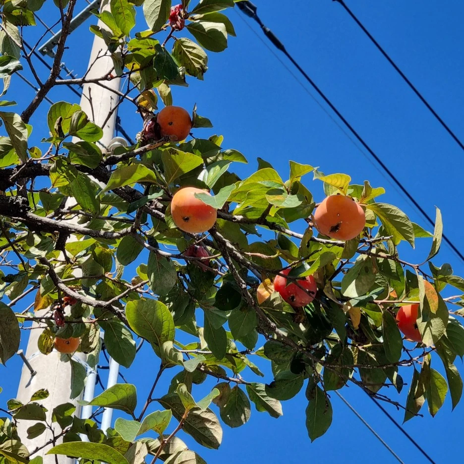 KakaoTalk_20211017_175515912_12.jpg?type=w1