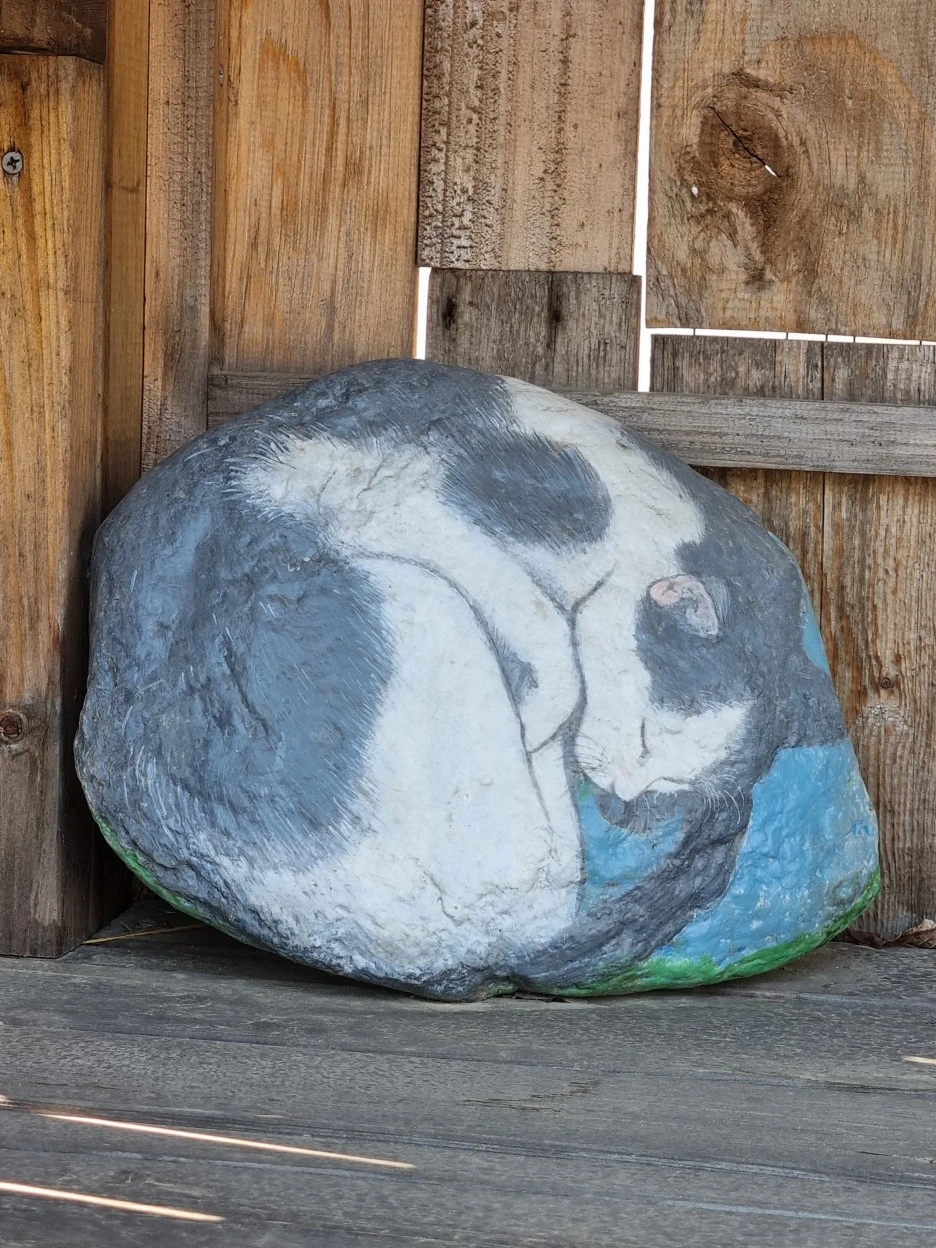 20220322_130857.jpg?type=w1