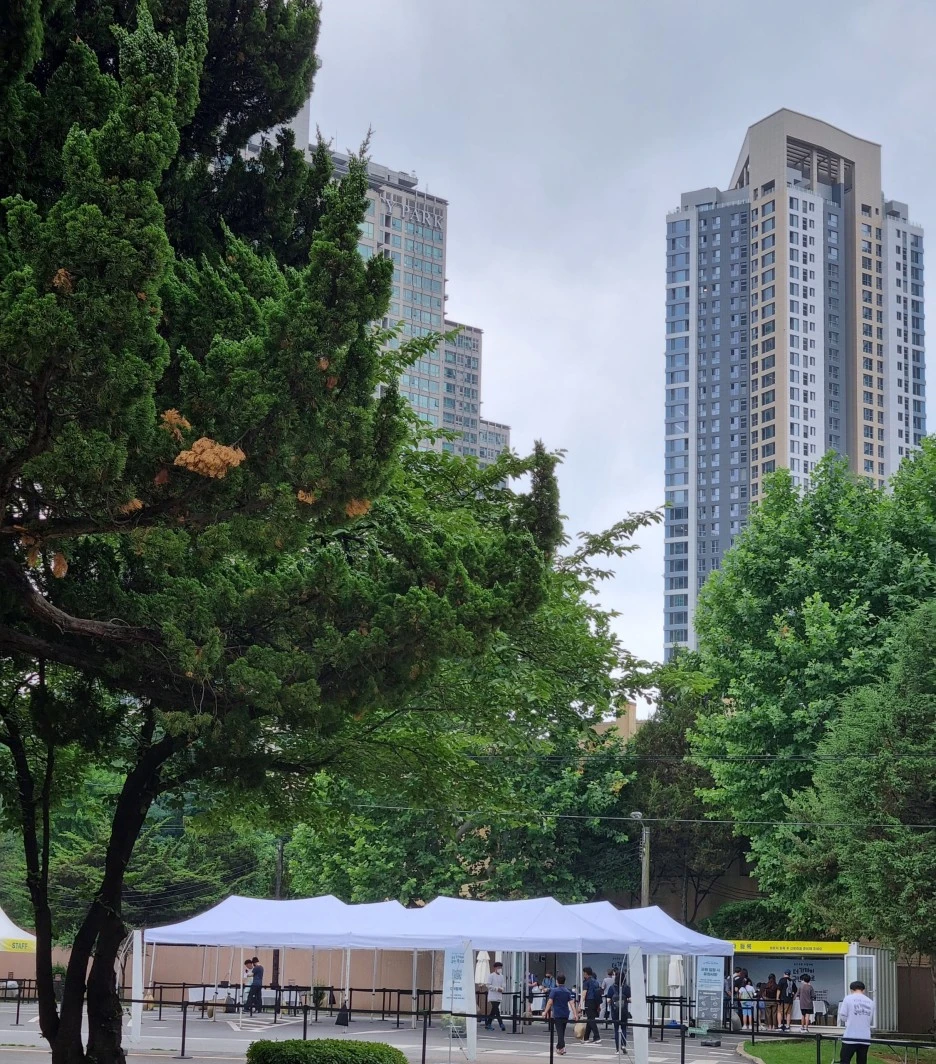 SE-9bd83115-f7ea-45a1-ad33-6bf3df8a20ff.jpg?type=w1