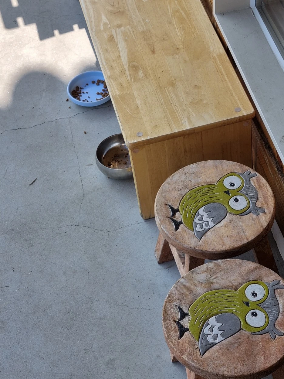 20220322_152520.jpg?type=w1