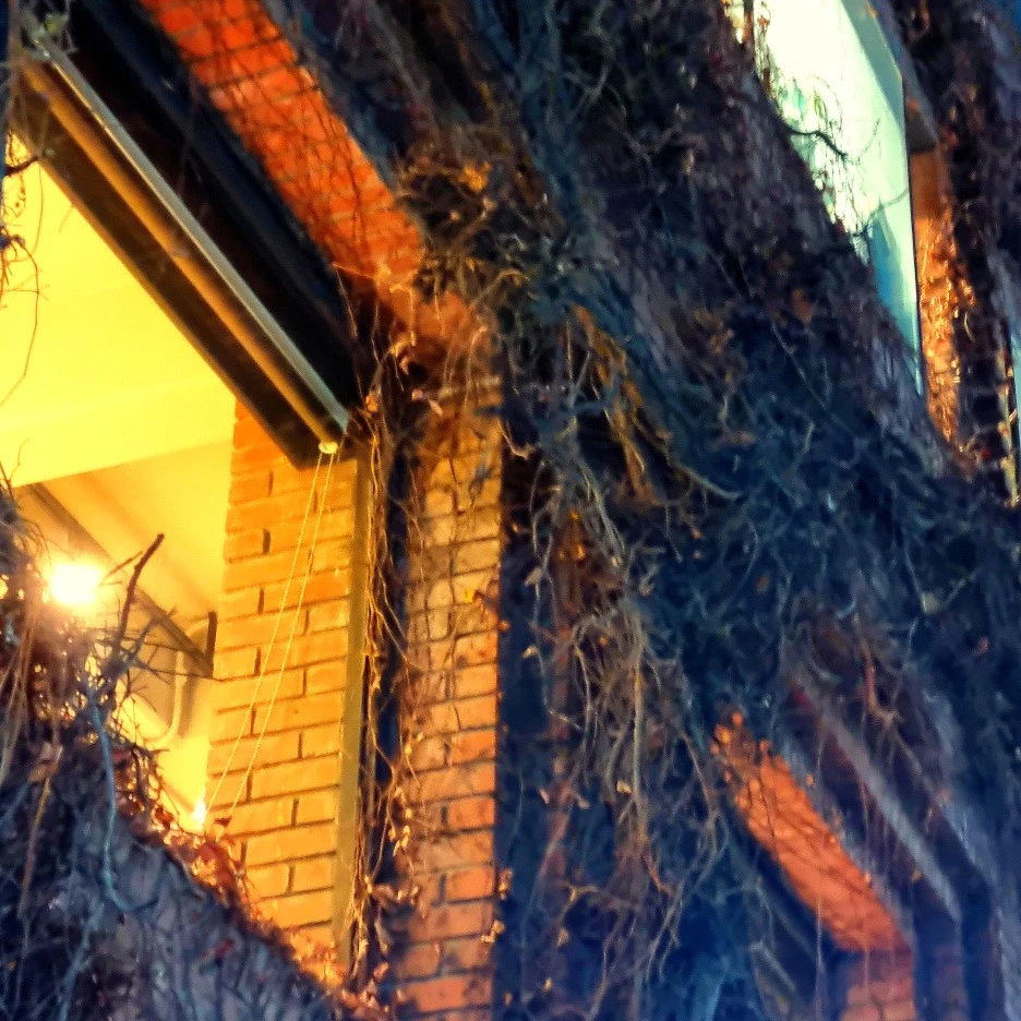 SE-ab242575-0331-4810-ad02-fd565f3efbbe.jpg?type=w1