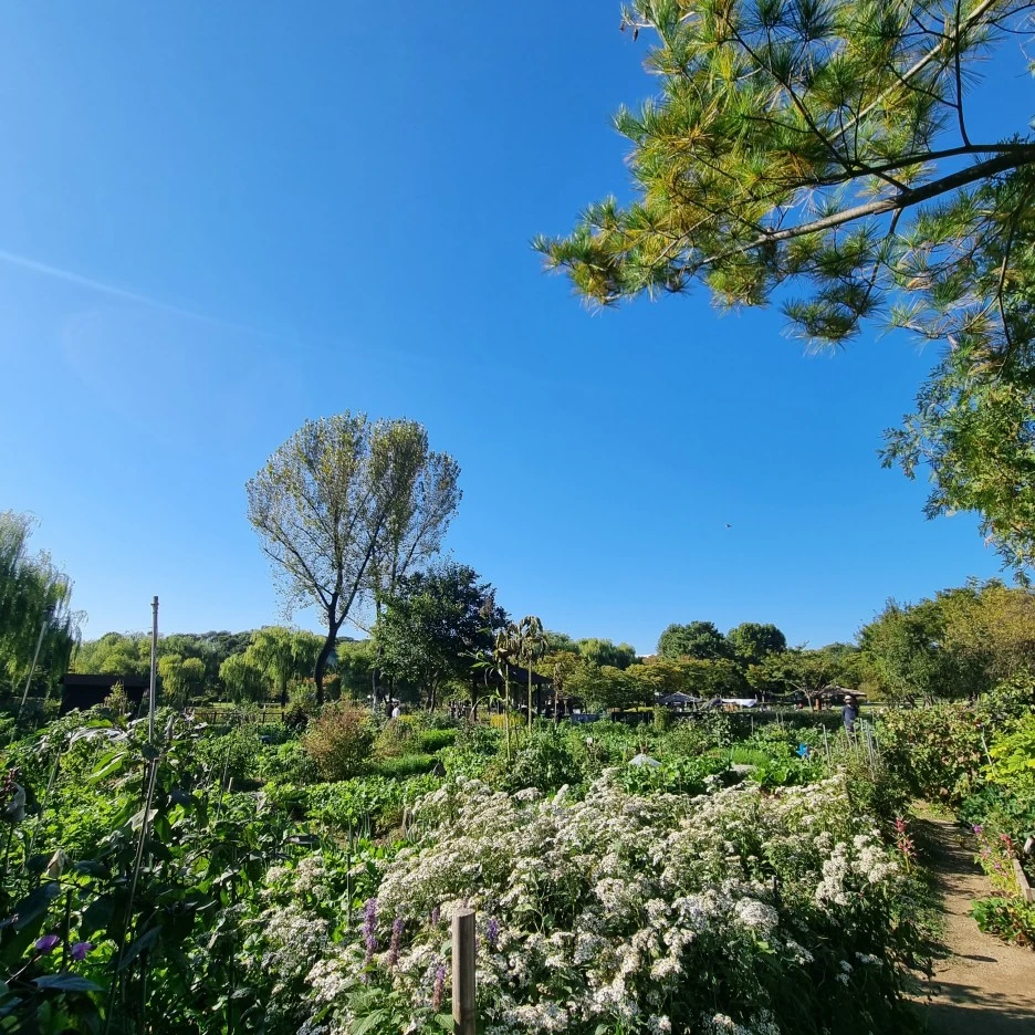 KakaoTalk_20211017_175515912_28.jpg?type=w1