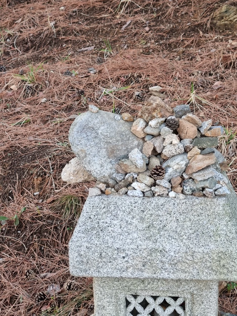 20220322_174414.jpg?type=w1