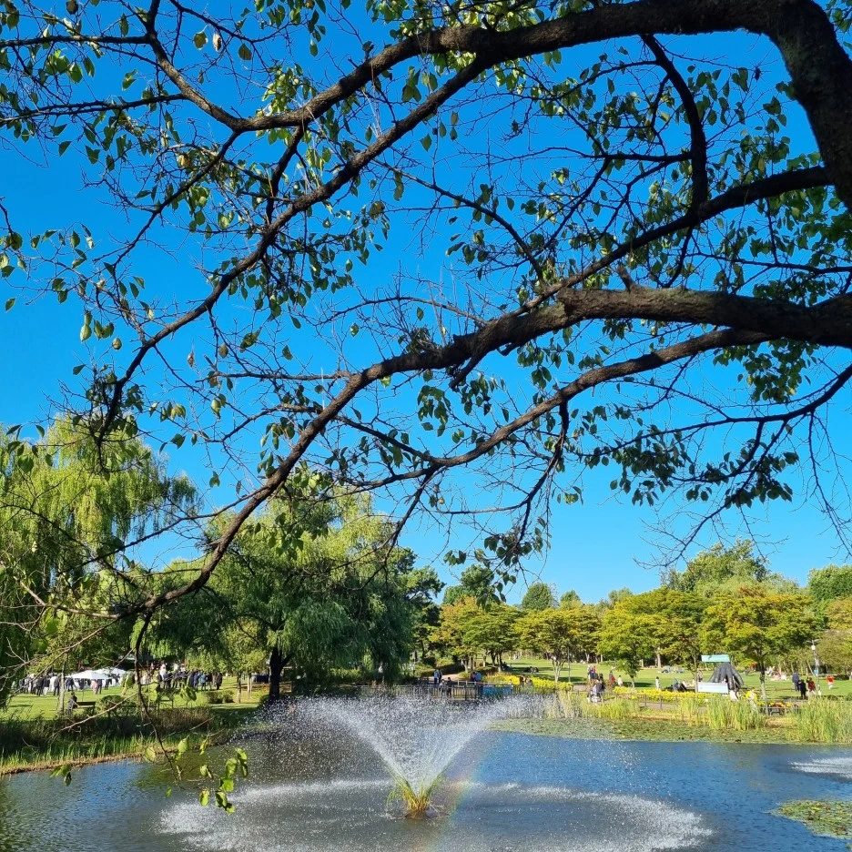 KakaoTalk_20211017_175515912_18.jpg?type=w1