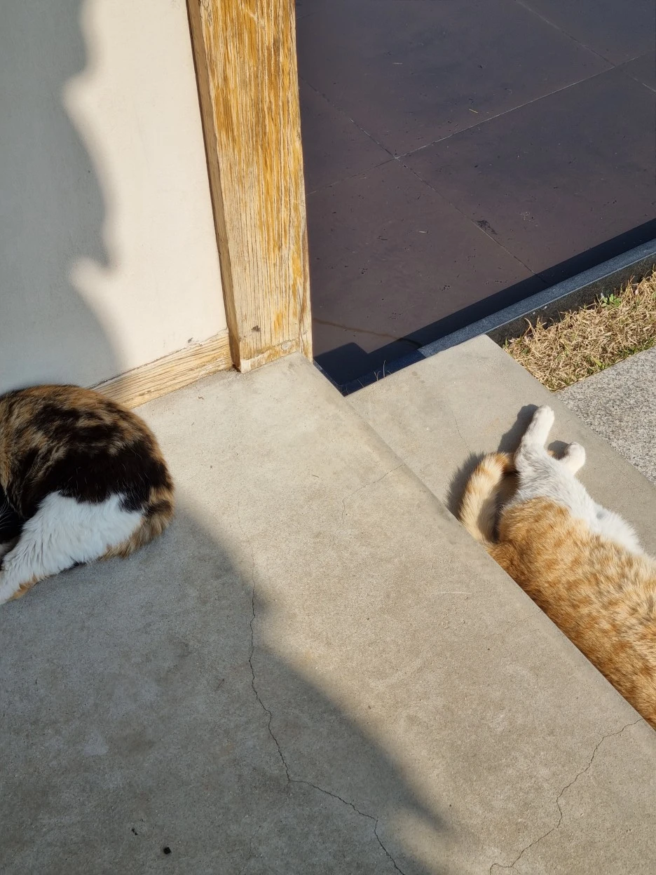 20220322_152534.jpg?type=w1