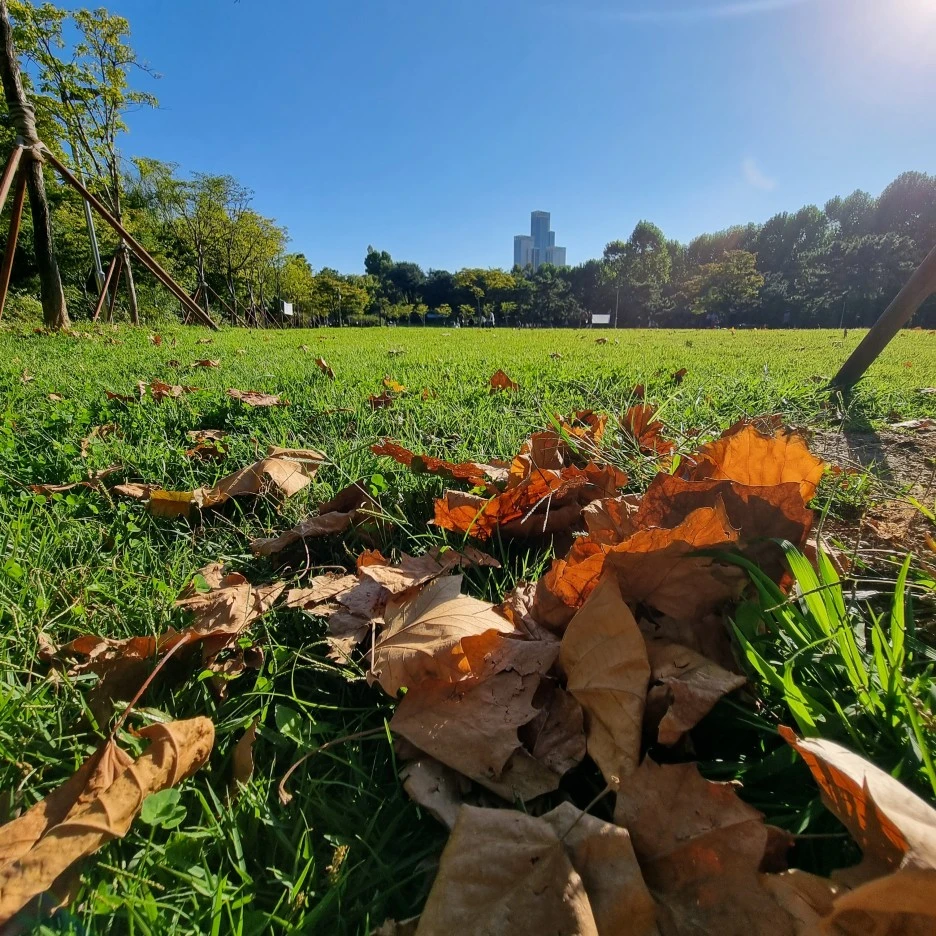 KakaoTalk_20211017_175601419_10.jpg?type=w1