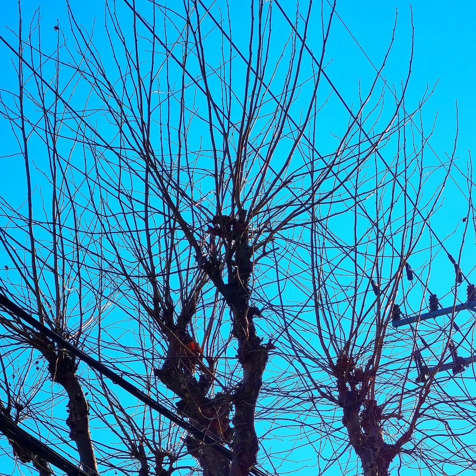 SE-c0a0e430-5802-4303-ab3f-45b34bea29ef.jpg?type=w1