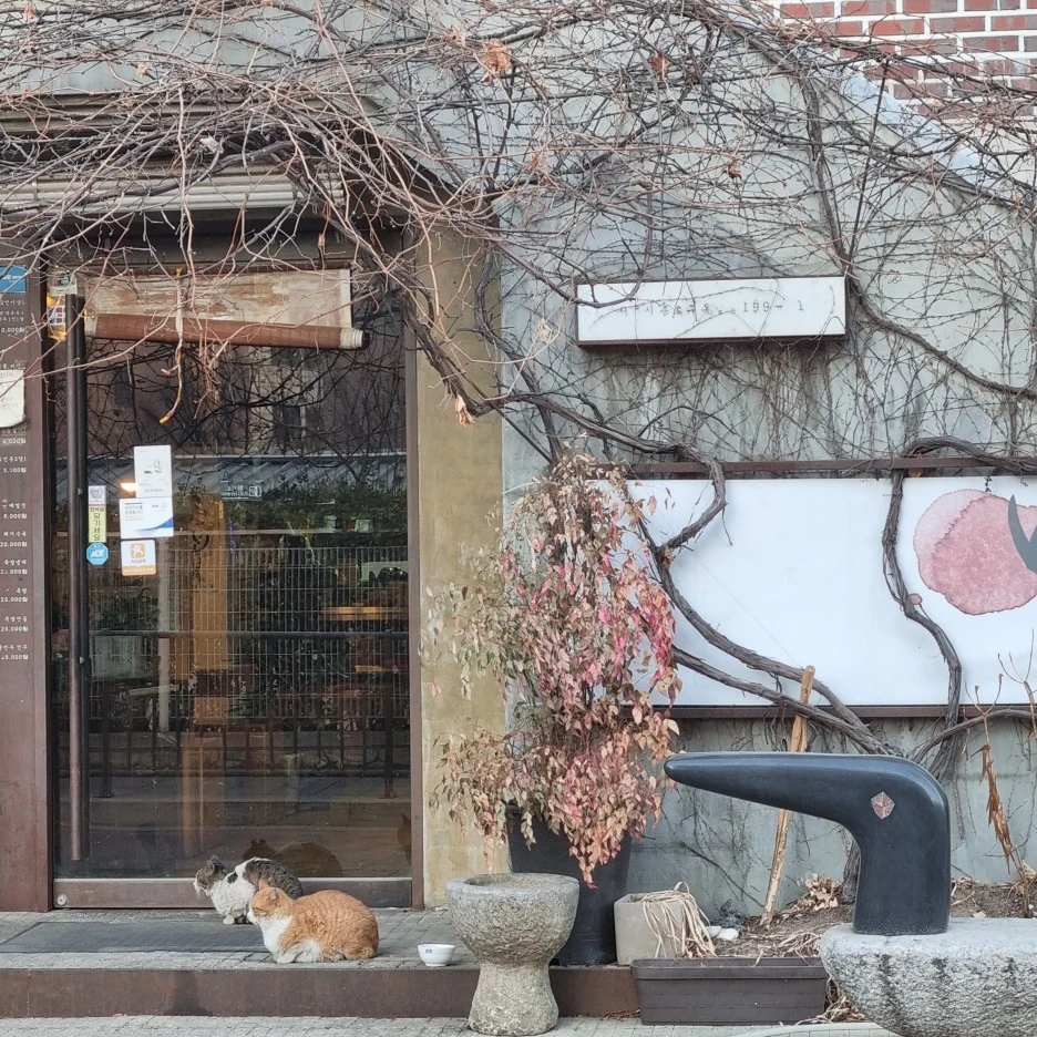 KakaoTalk_20220307_011142835_20.jpg?type=w1