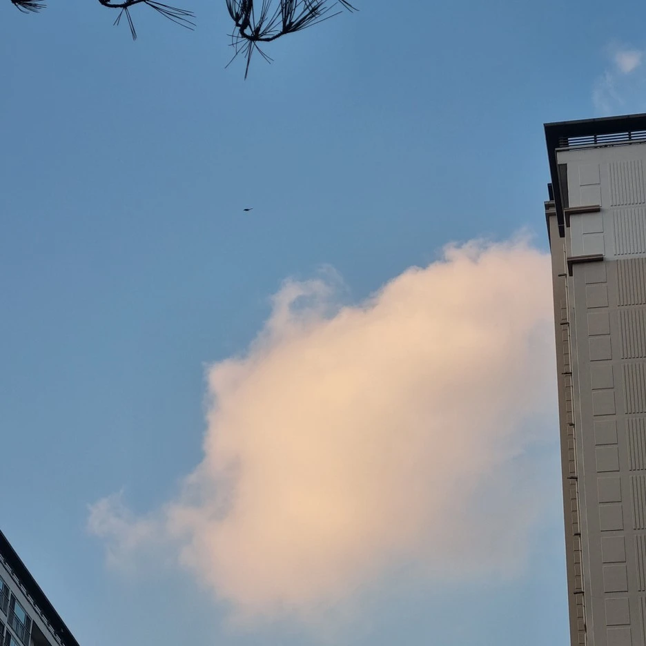 KakaoTalk_20220301_185140107_13.jpg?type=w1