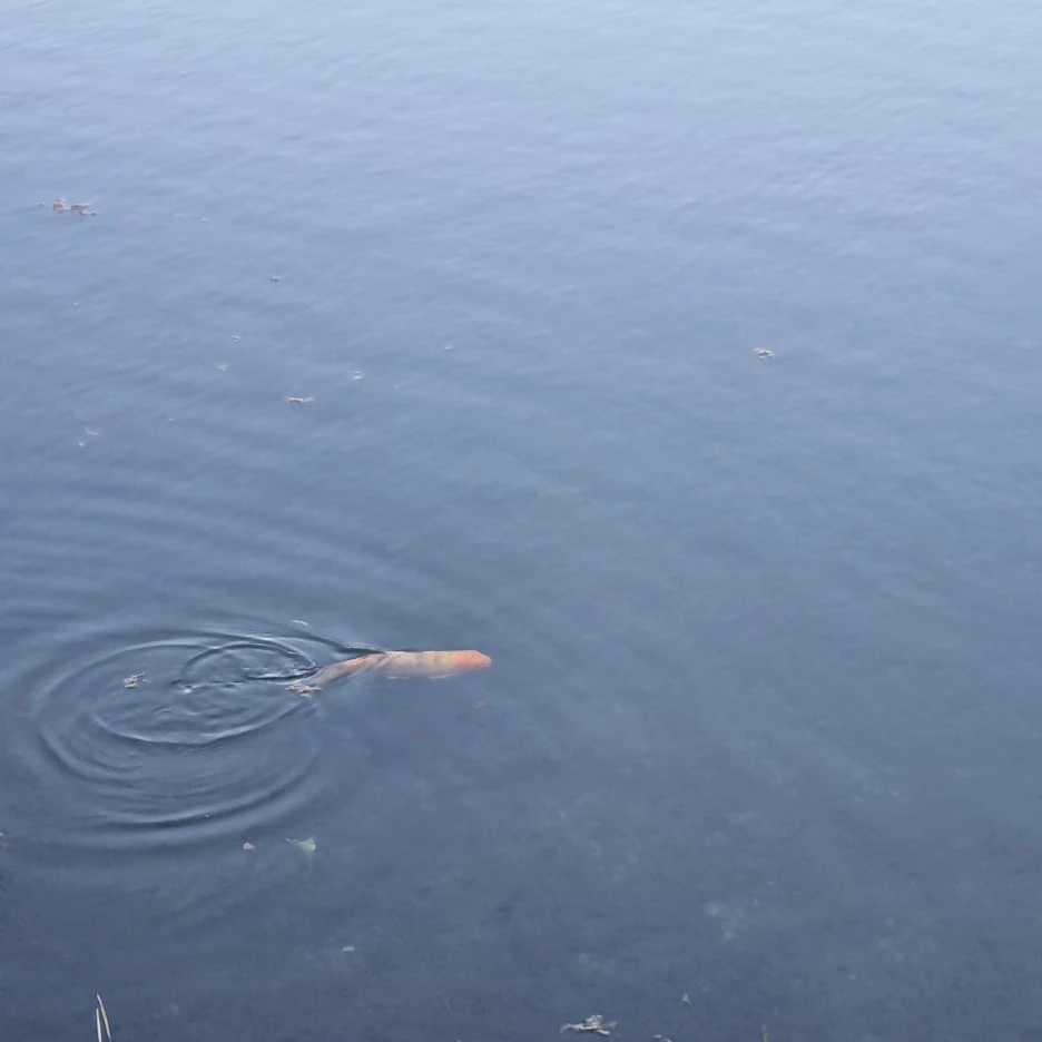 KakaoTalk_20211017_175647068_08.jpg?type=w1