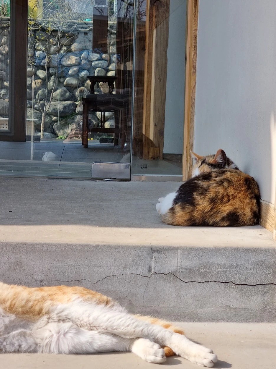 20220322_152542.jpg?type=w1