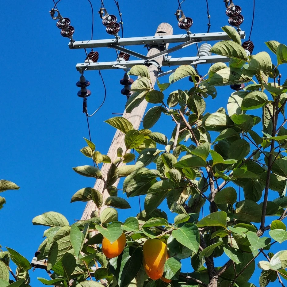 KakaoTalk_20211017_175515912_13.jpg?type=w1