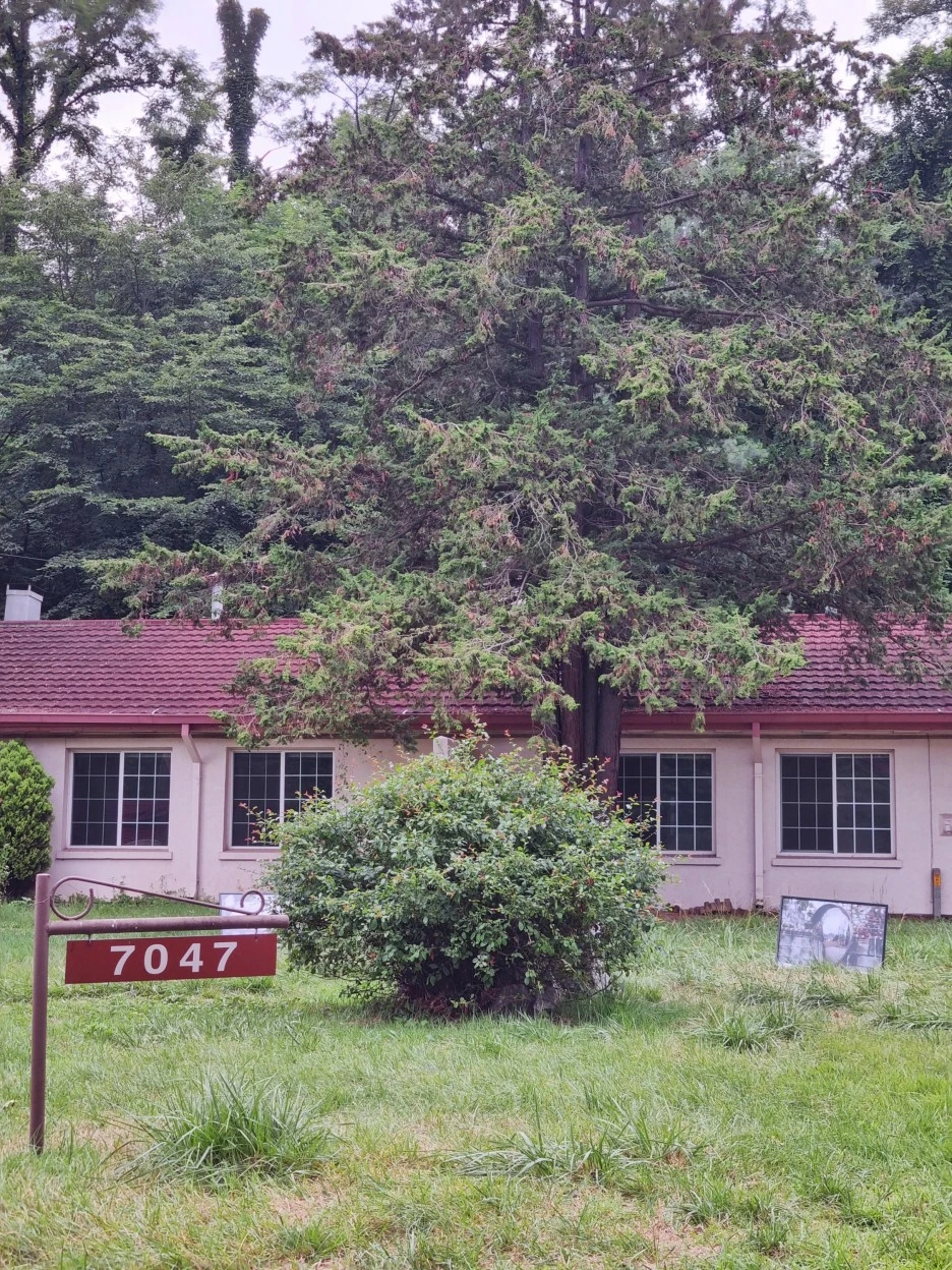 SE-fad60e60-791d-4533-befe-0584f9fd12e0.jpg?type=w1