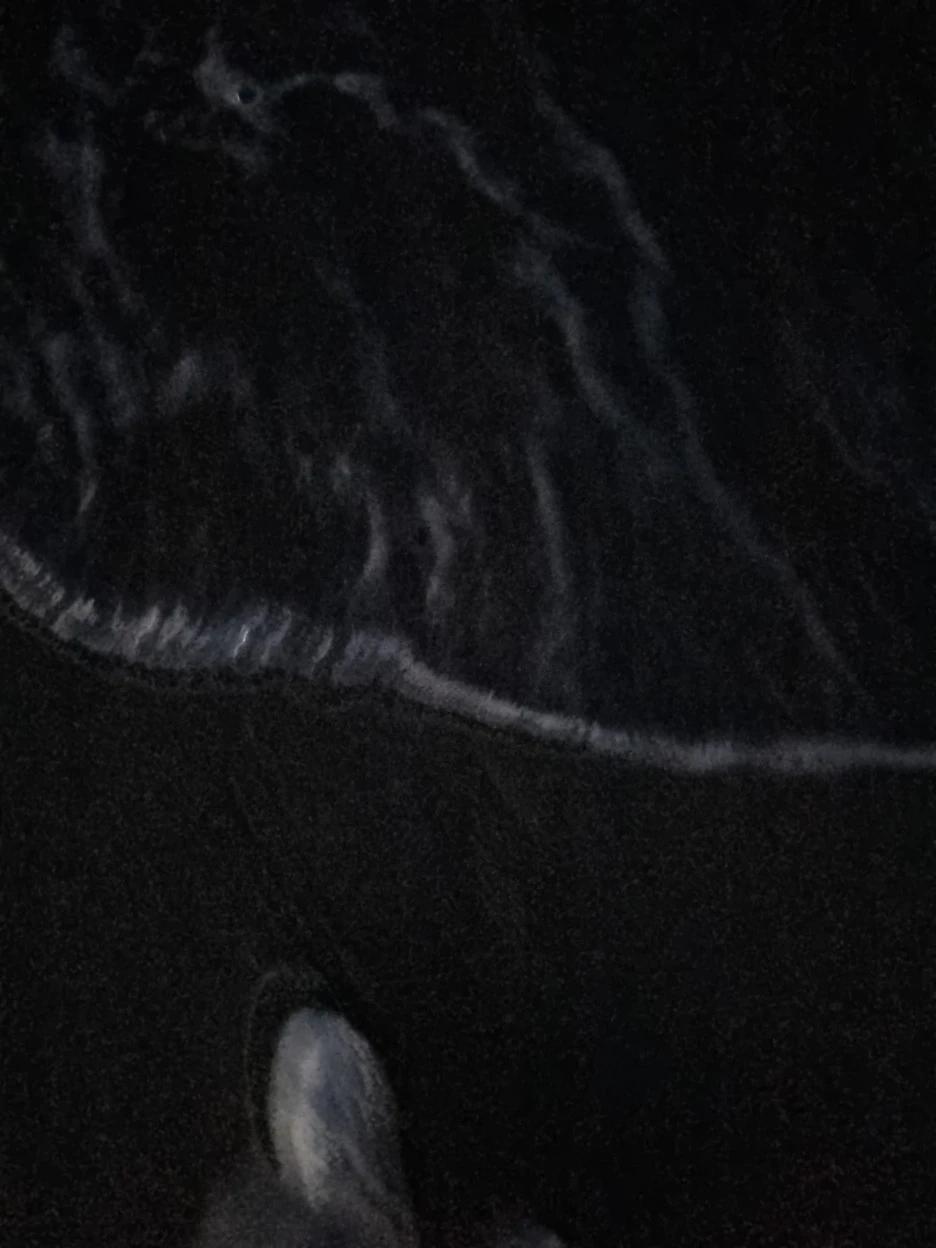 20220322_191748.jpg?type=w1