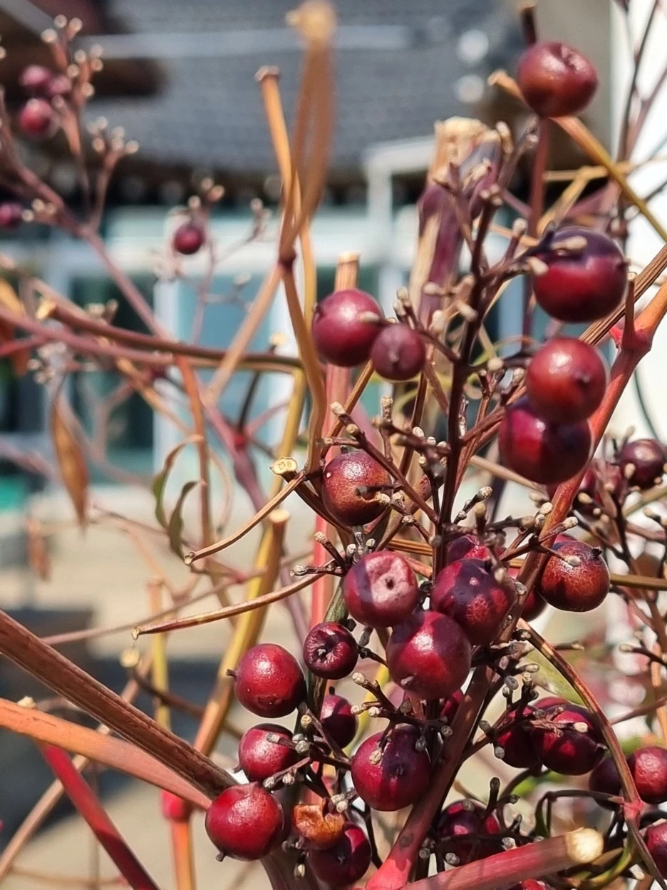 20220322_125748.jpg?type=w1