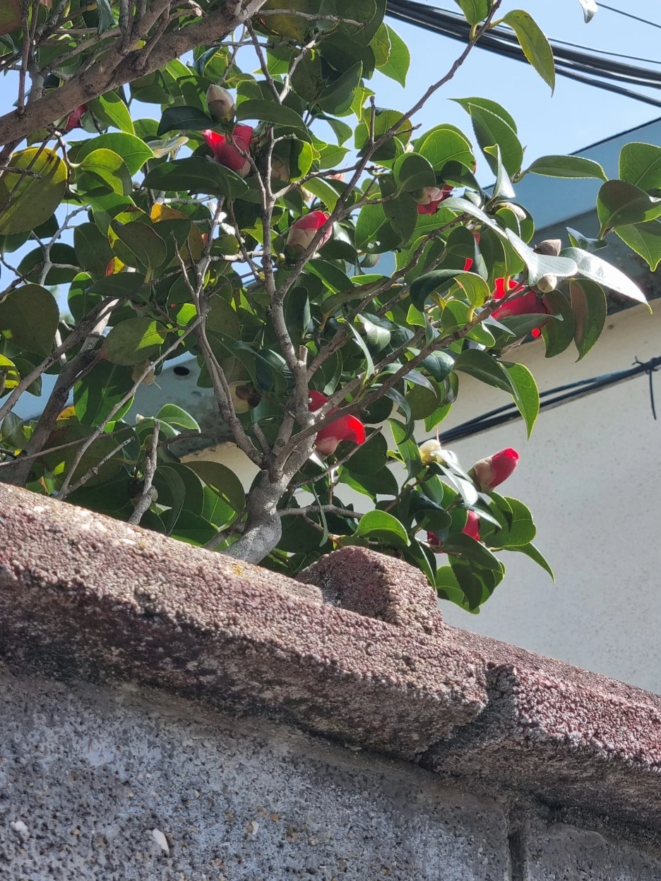 KakaoTalk_20220318_180813768_10.jpg?type=w1