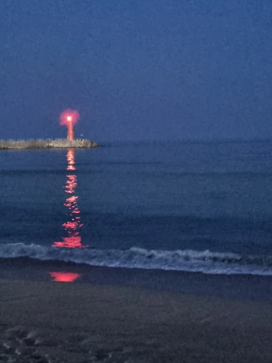 20220322_191617.jpg?type=w1