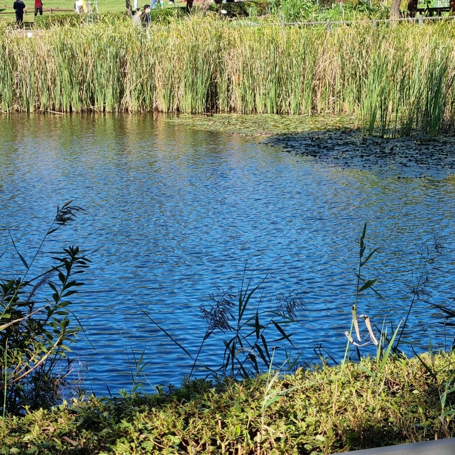 KakaoTalk_20211017_175515912_20.jpg?type=w1