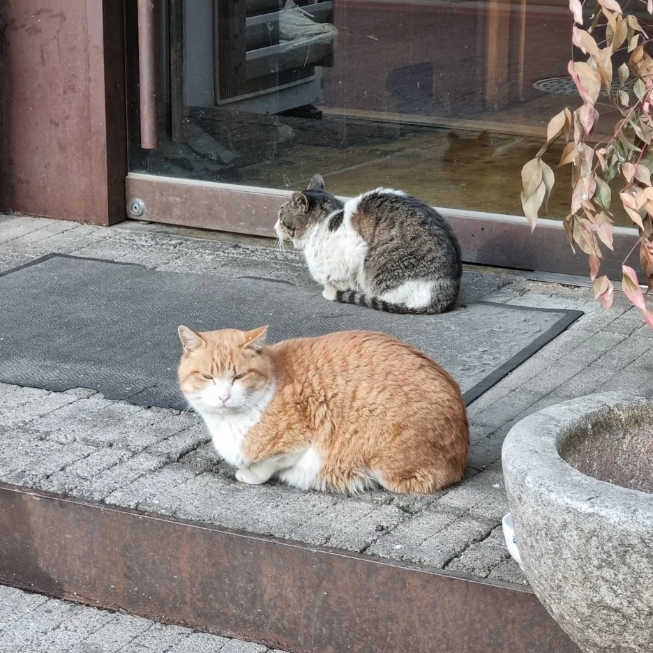 KakaoTalk_20220307_011142835_22.jpg?type=w1