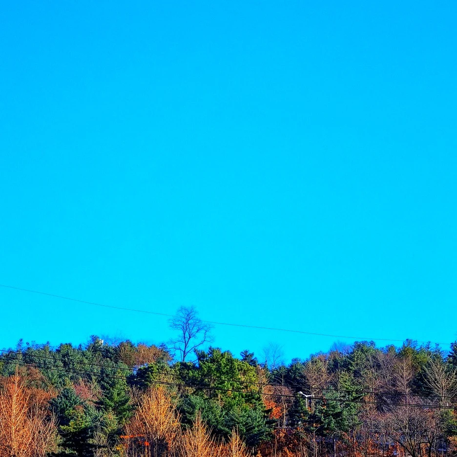 SE-d3699e9f-702e-43ff-8800-898ddfe5792a.jpg?type=w1