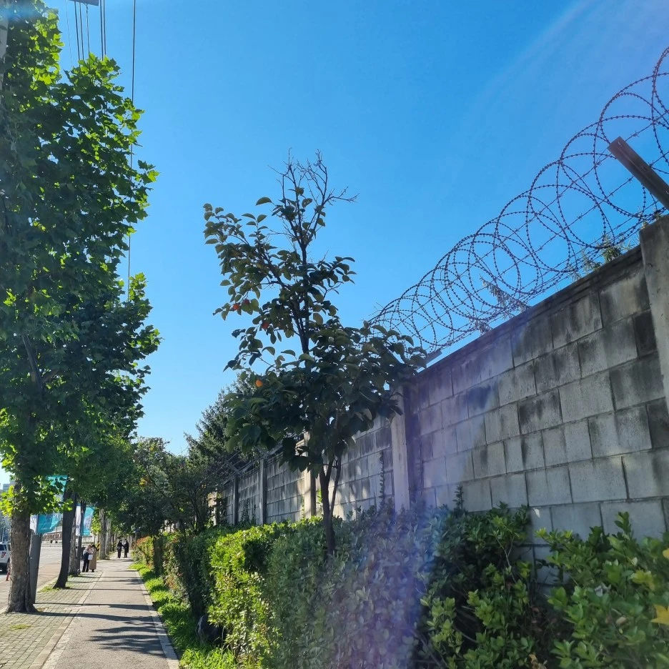 KakaoTalk_20211017_175515912_07.jpg?type=w1