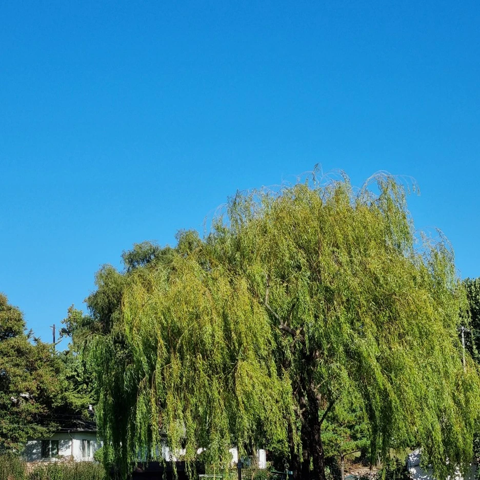 KakaoTalk_20211017_175515912_21.jpg?type=w1