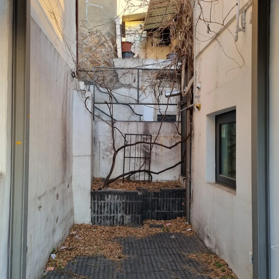 KakaoTalk_20220307_011224311_28.jpg?type=w1