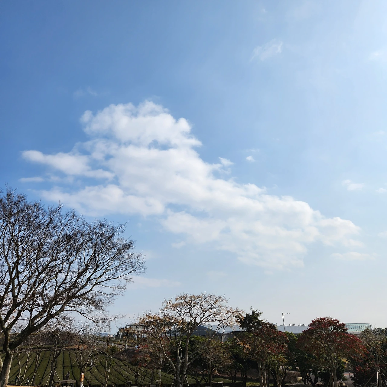 KakaoTalk_Photo_2023-12-03-17-41-30 004.jpeg