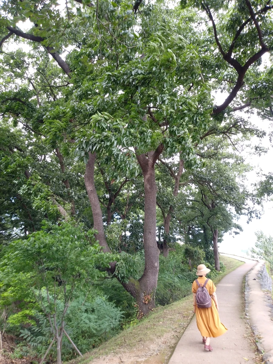 20210914%EF%BC%BF141105.jpg?type=w966