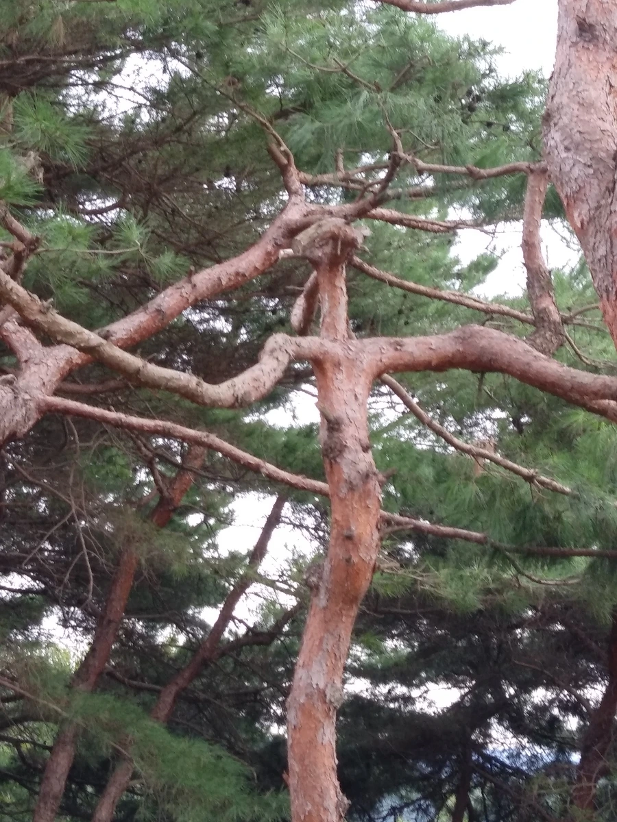 20210914%EF%BC%BF163524.jpg?type=w966