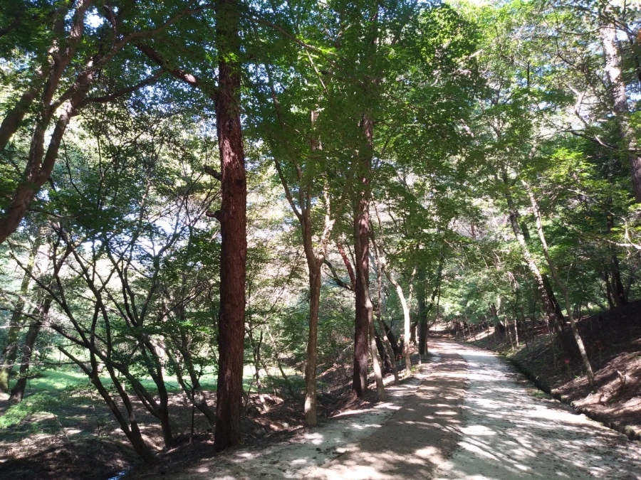 20210915%EF%BC%BF143033.jpg?type=w966