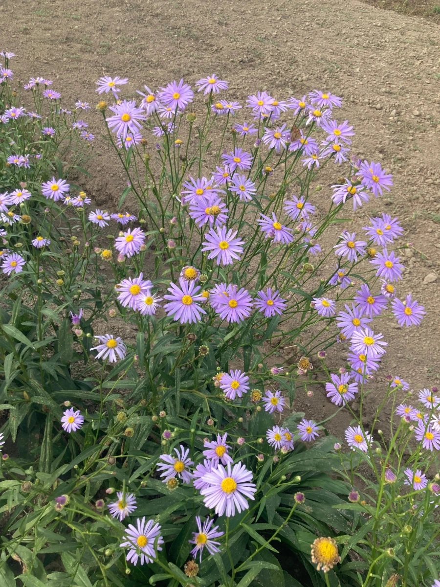 1631782729879%EF%BC%8D7.jpg?type=w966