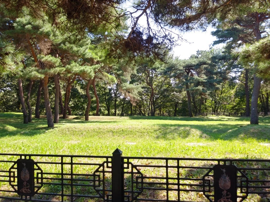 20210915%EF%BC%BF140440%EF%BC%BFHDR.jpg?type=w966