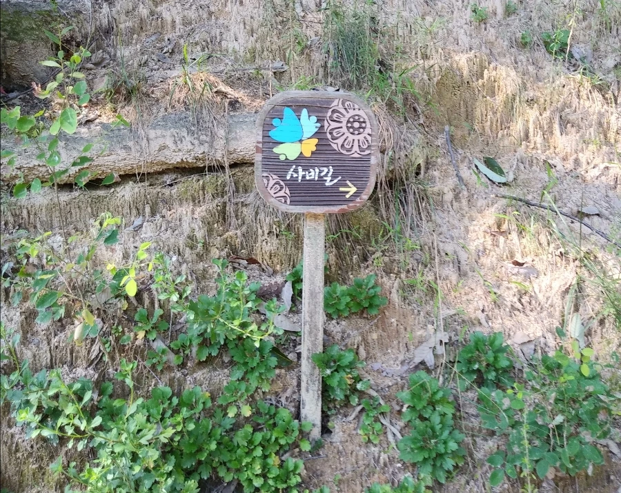 1633395580823.jpg?type=w966