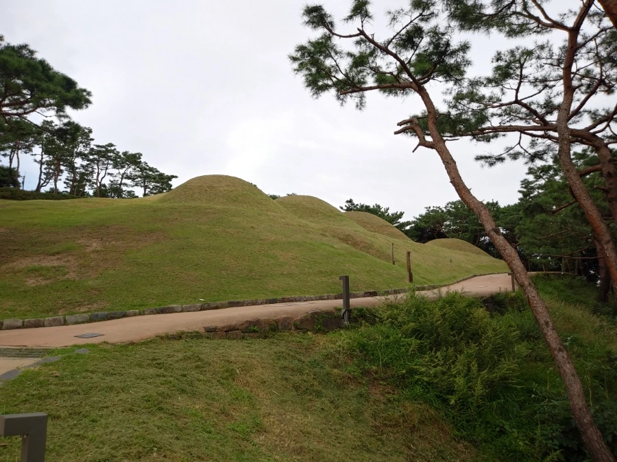 20210914%EF%BC%BF162650%EF%BC%BFHDR.jpg?type=w966