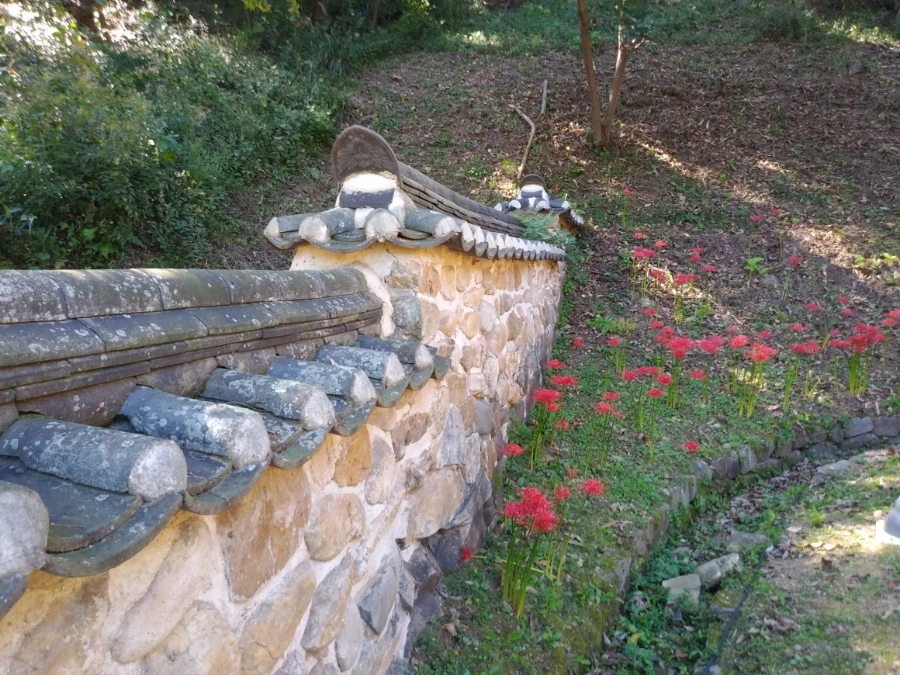 20210915%EF%BC%BF143643.jpg?type=w966