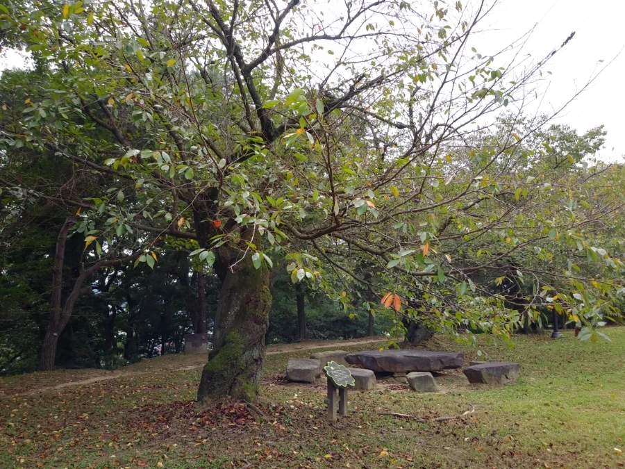 20210914%EF%BC%BF132240%EF%BC%BFHDR.jpg?type=w966