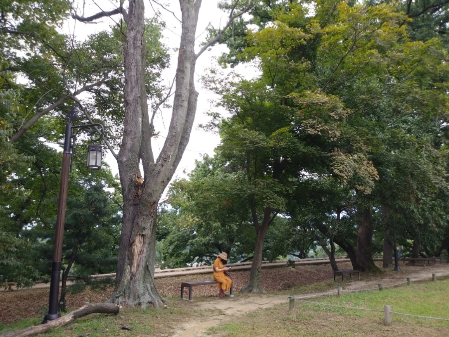 20210914%EF%BC%BF132529.jpg?type=w966