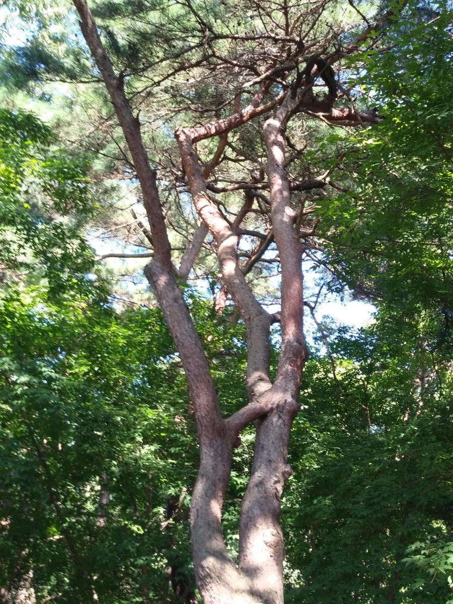 20210915%EF%BC%BF145511.jpg?type=w966