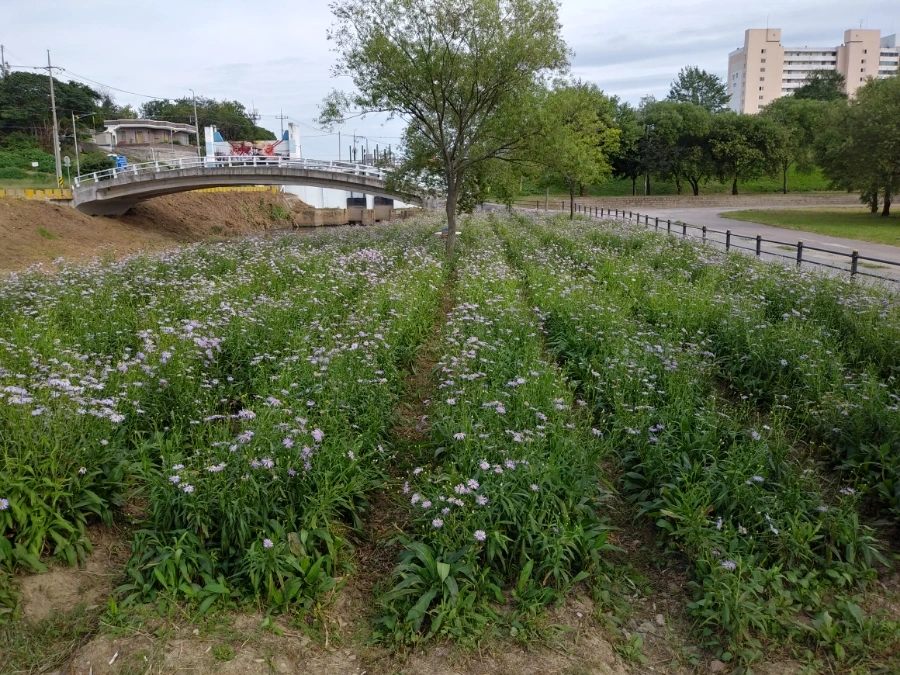 20210916%EF%BC%BF160204%EF%BC%BFHDR.jpg?type=w966