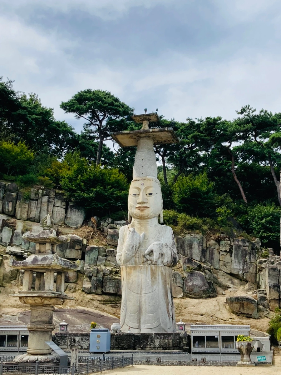 1631782729879%EF%BC%8D15.jpg?type=w966