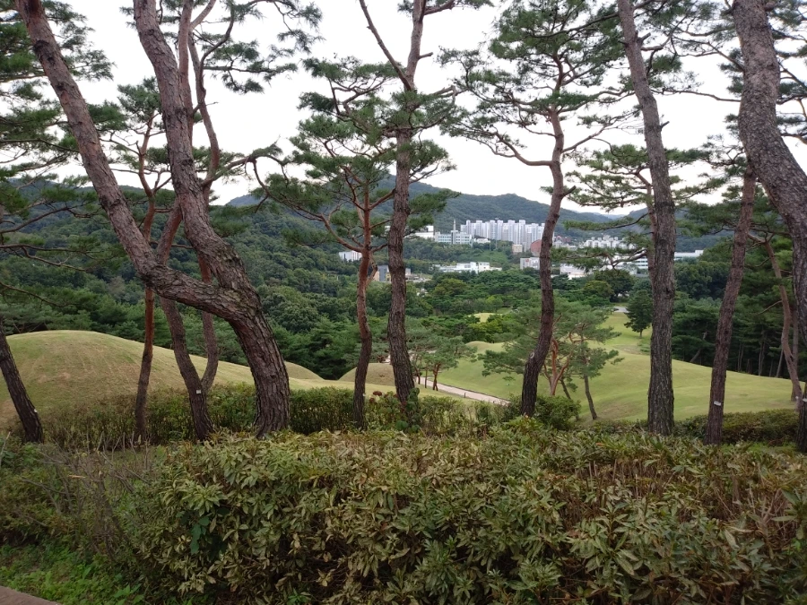 20210914%EF%BC%BF163308%EF%BC%BFHDR.jpg?type=w966