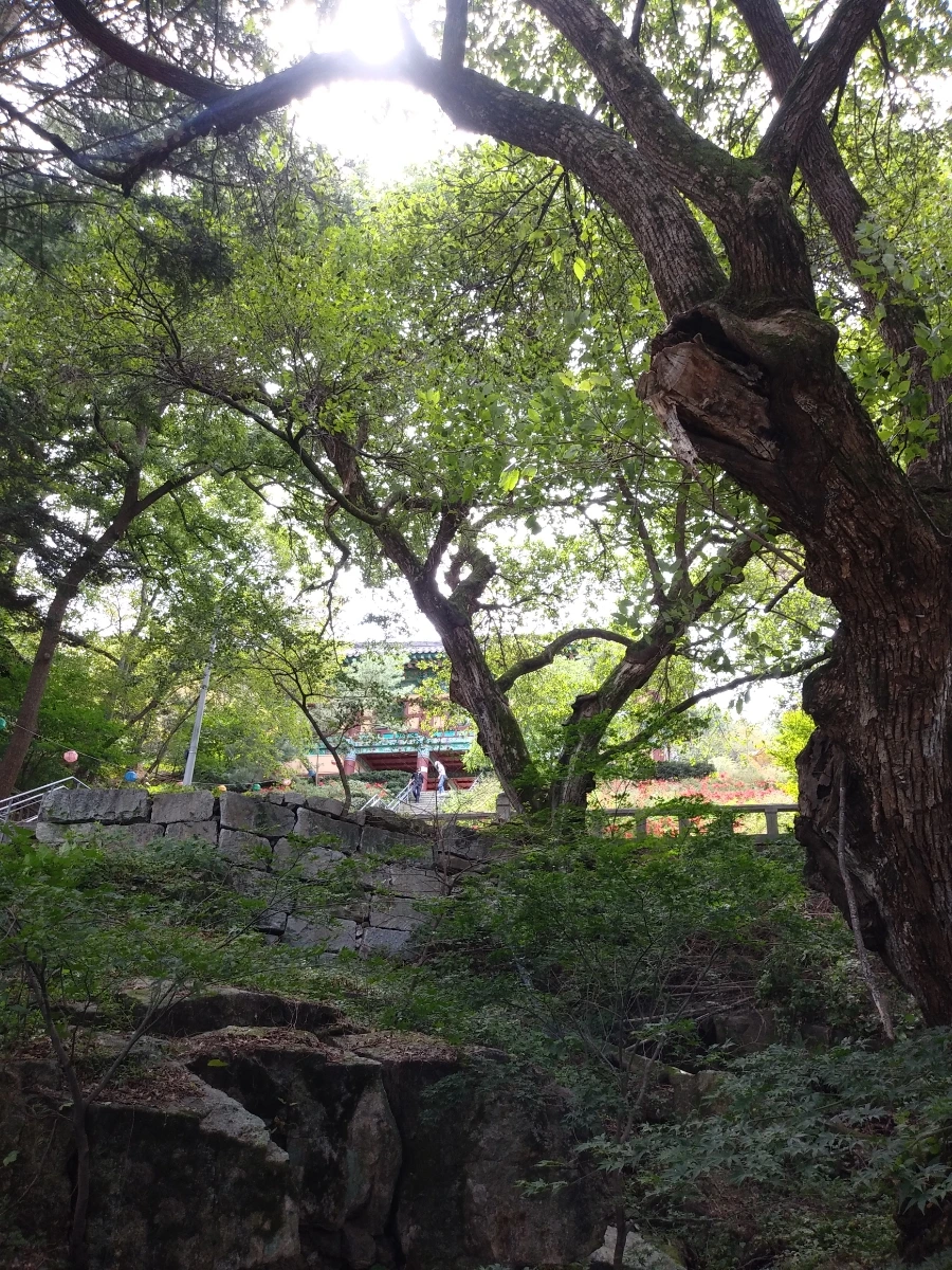 20210916%EF%BC%BF123806.jpg?type=w966