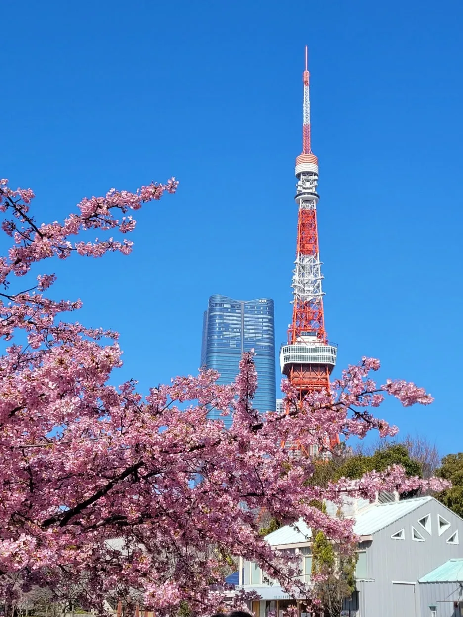 KakaoTalk_20250313_213930353_04.jpg?type=w1