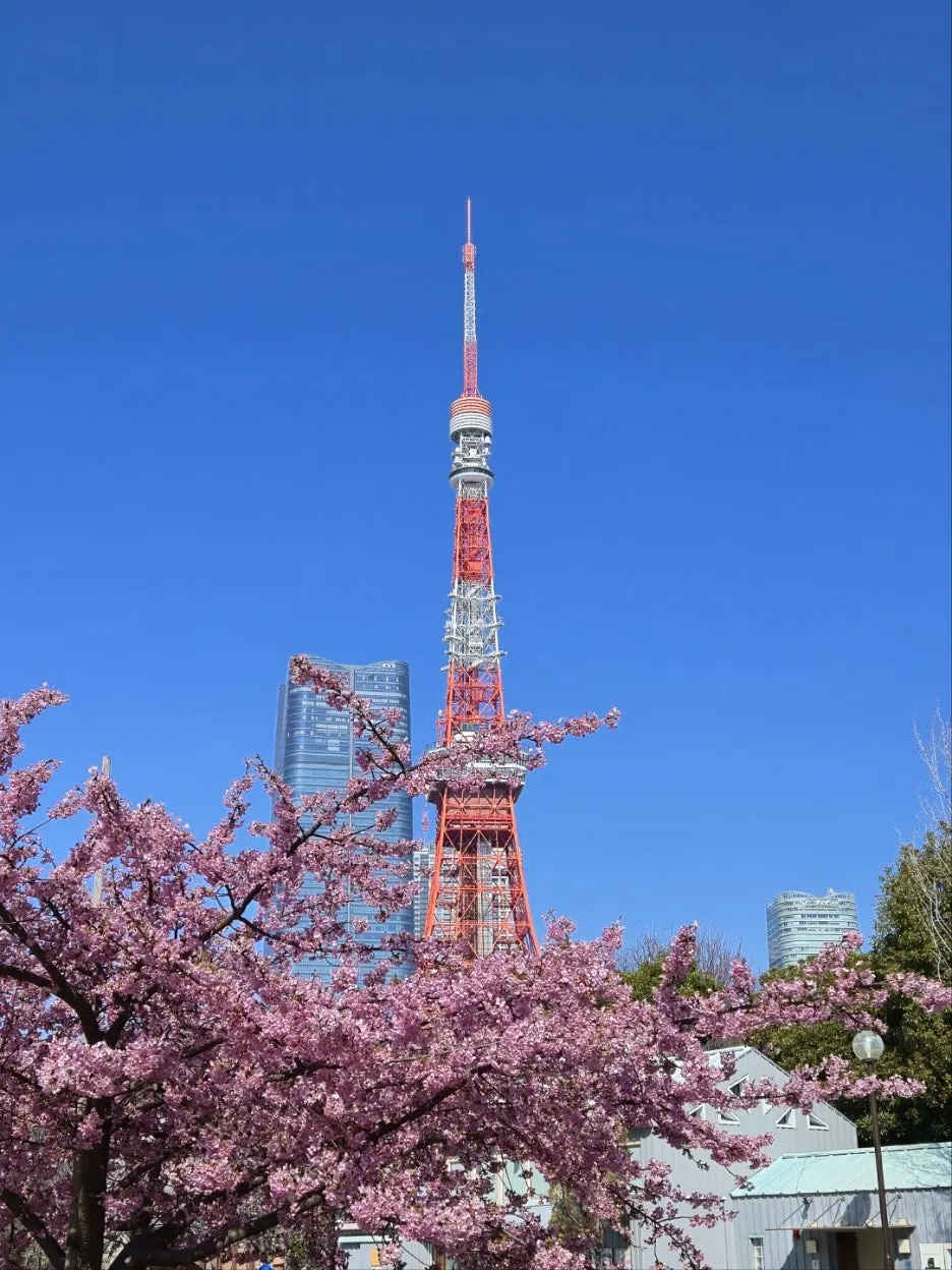 KakaoTalk_20250309_100842159_09.jpg?type=w1