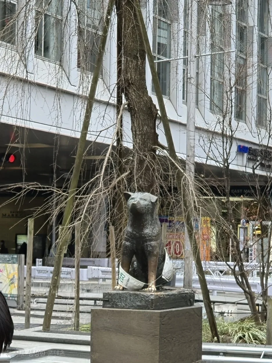 KakaoTalk_20250310_084235765.jpg?type=w1