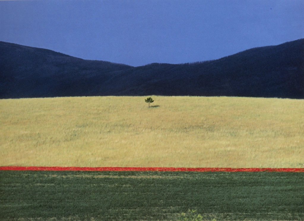 5_tistory_2008_04_29_19_56_4816fee51f3a1?original